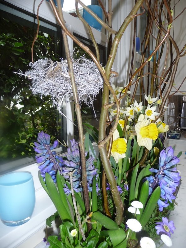 [P1020014.JPG]