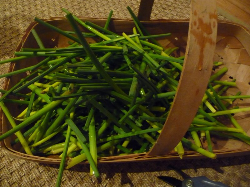 [P1030056.JPG]