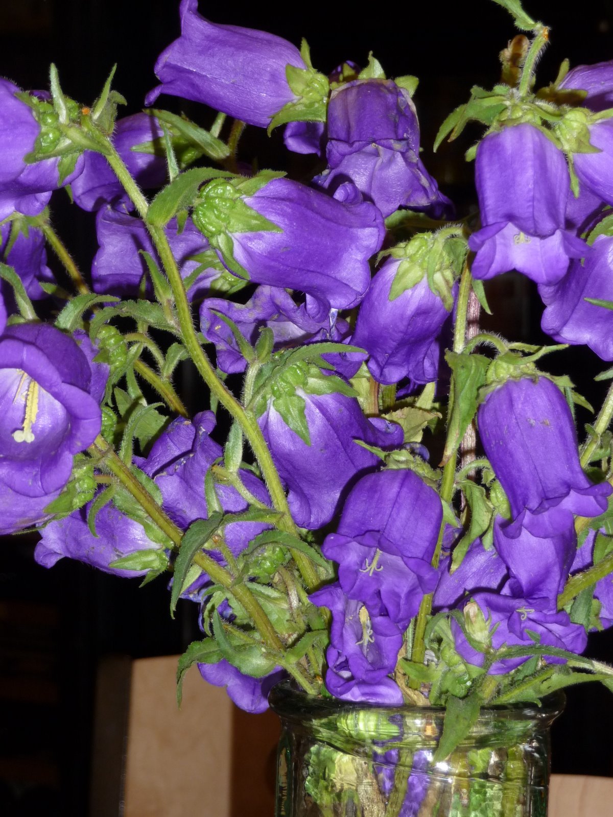 [P1040992.JPG]