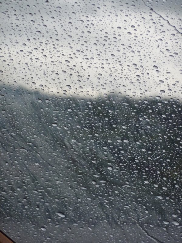 [P1010578.JPG]