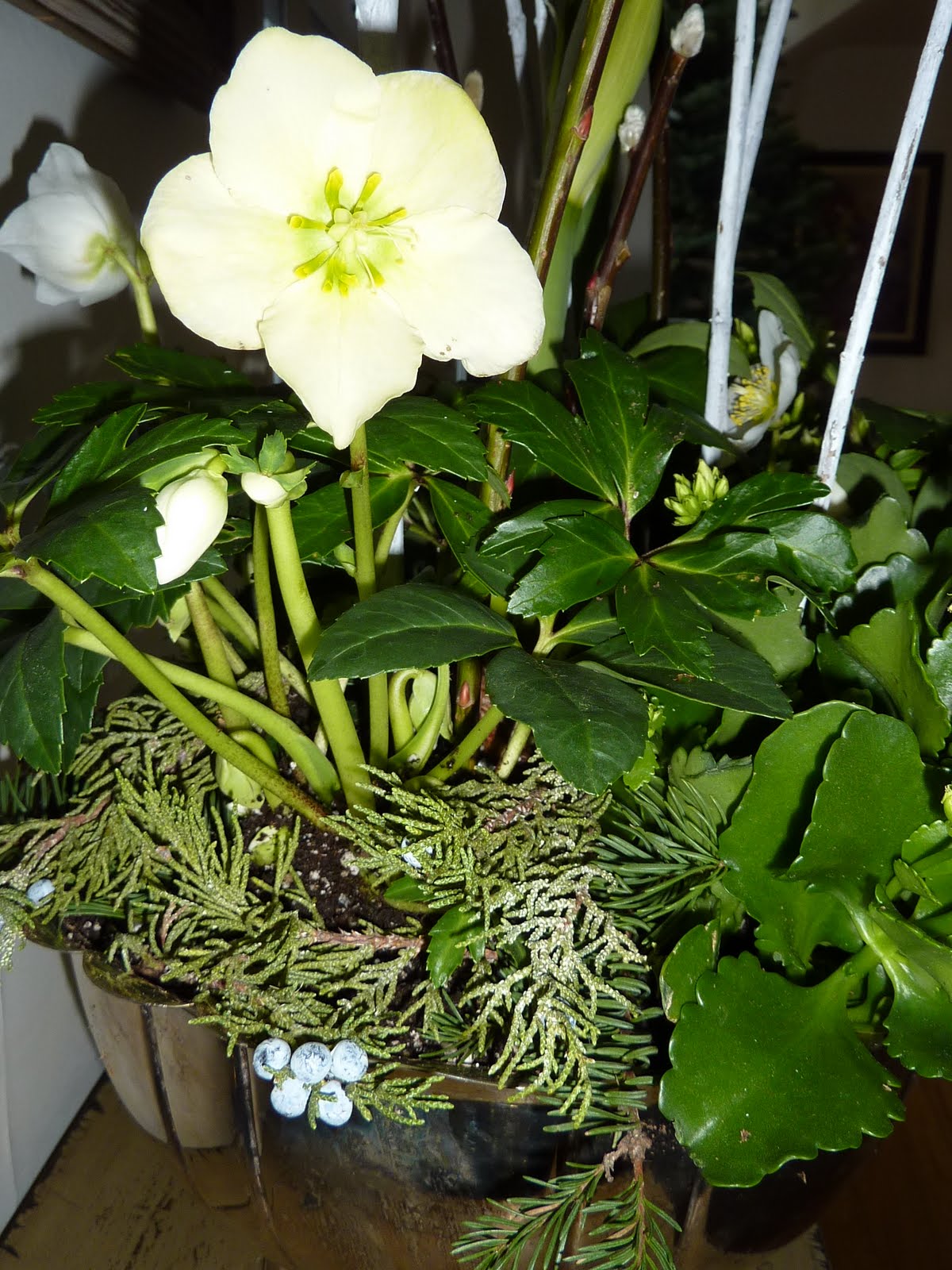 [P1040035.JPG]