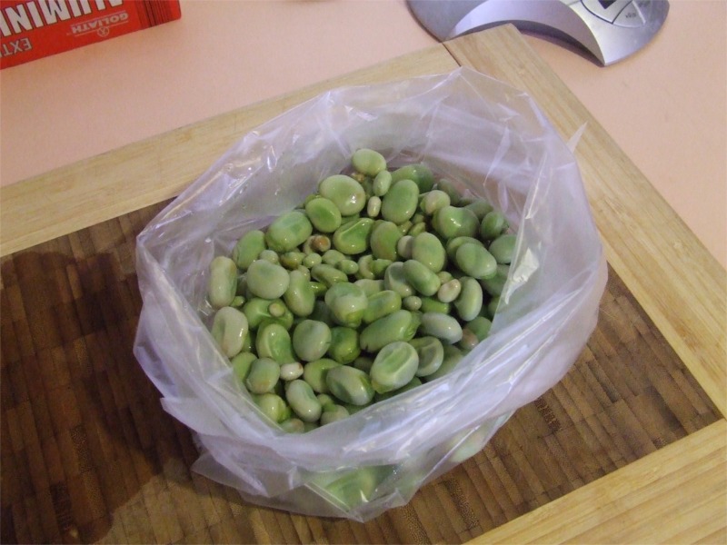 [DSCF9238.jpg]