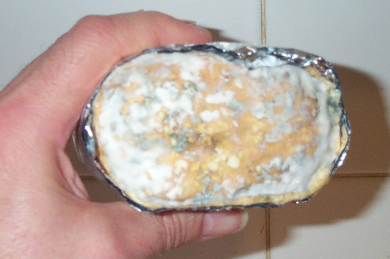 [Cheese+update+003.jpg]