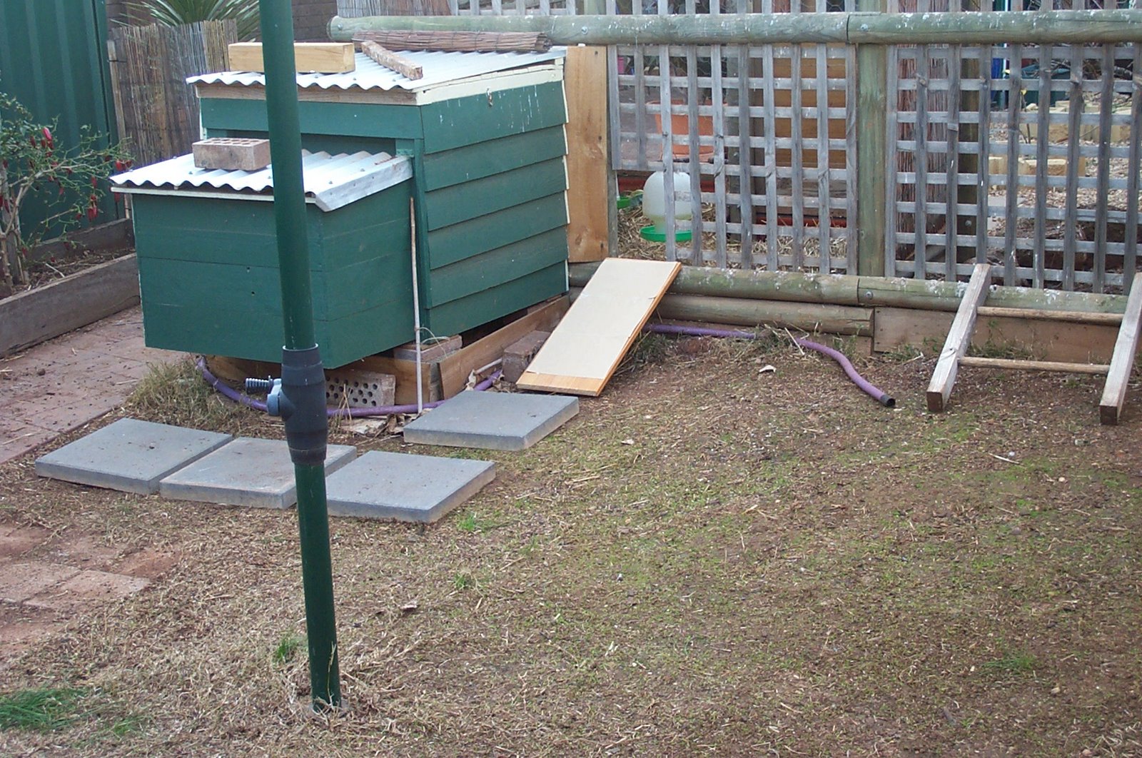 [Chook+House+Renovations+004.jpg]