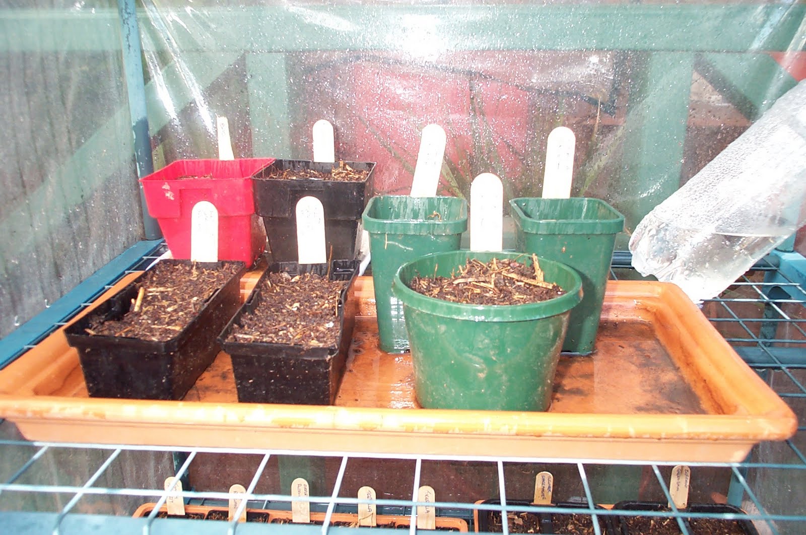 [Spring+planting+002.jpg]