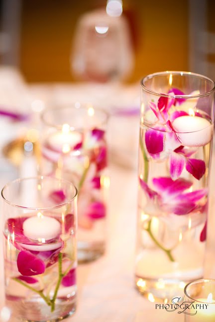 [©SaraZarrella005.jpg]