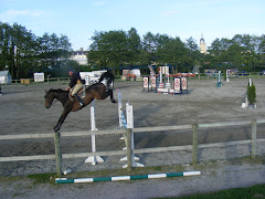 Haras de Lamballe (22)