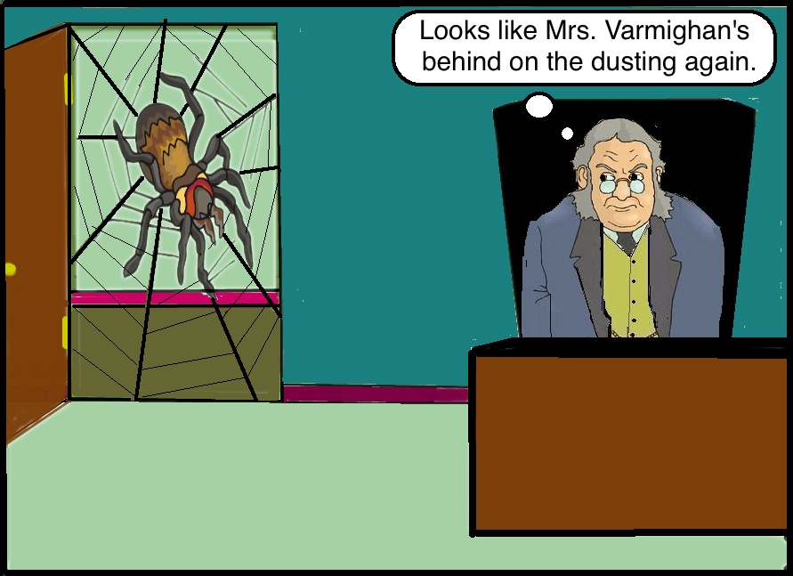 [spider(2).jpg]