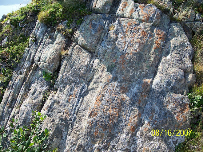 soft rock(on top of fox island trinity bay nfld).