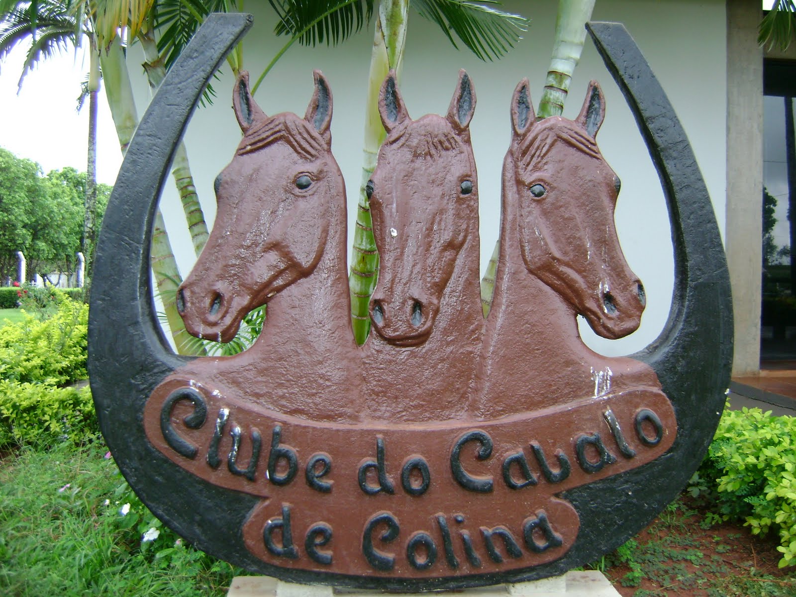 CLUBE DO CAVALO DE COLINA