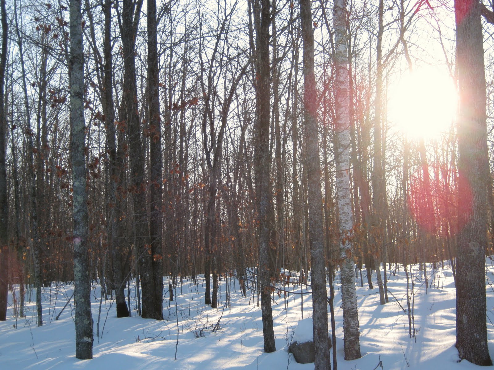 [IMG_0163.JPG]