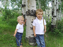 Great Outdoors