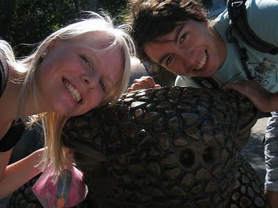 Jurmala turtle