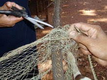 Freeing the tree snake form the fishing net
