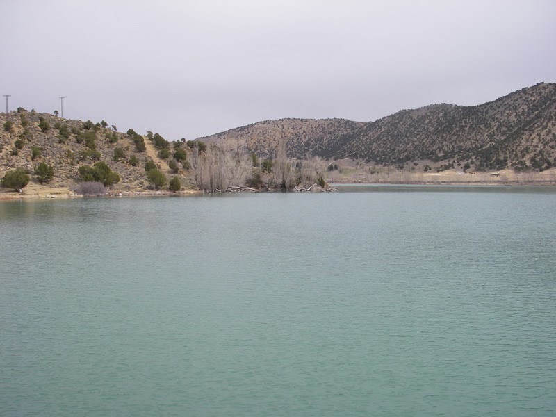 Utah Water Log Palisade Reservoir