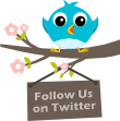 follow us on twitter