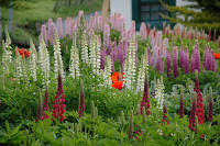 Tuin in Ushuaia
