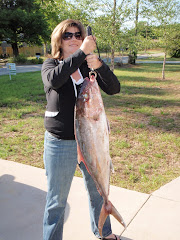 Lynn's Amberjack