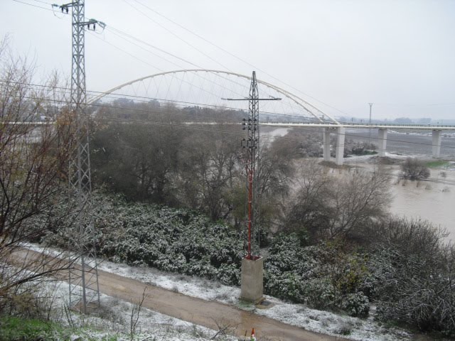 [CIMG1812.JPG]