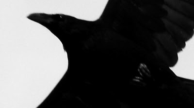 photo: Henrik Nor-Hansen