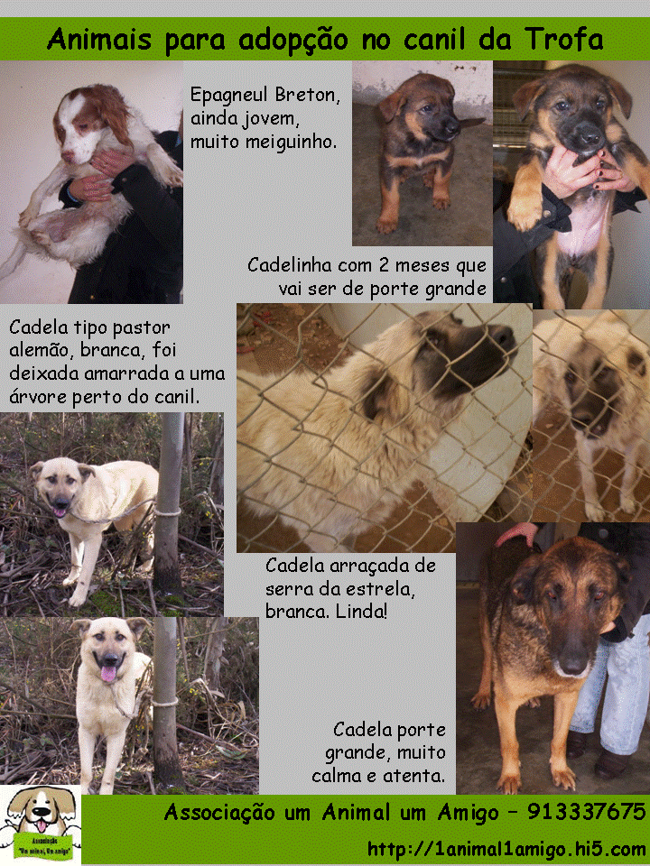 [Apresentação3.gif]