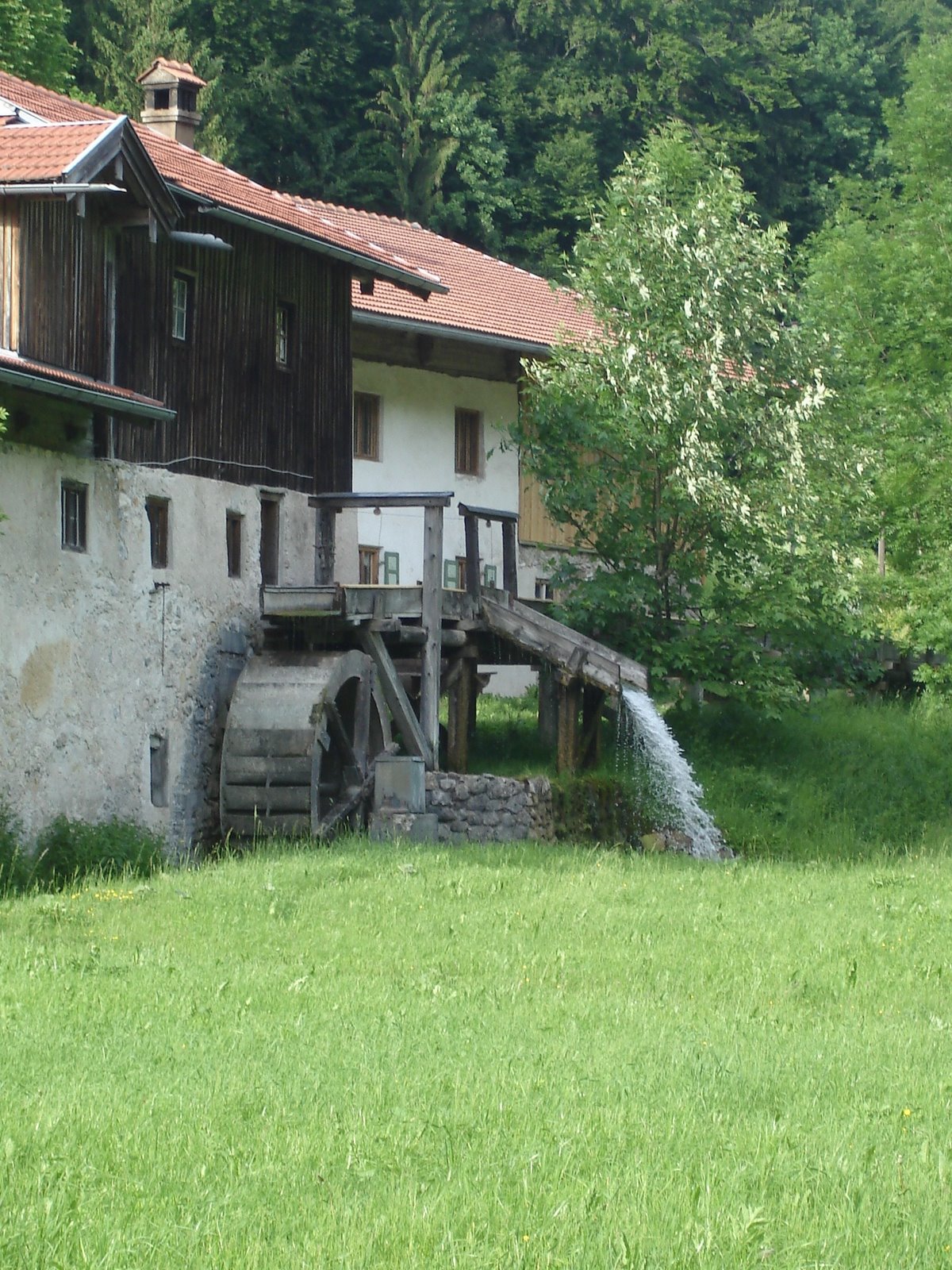 [DSC06300.JPG]