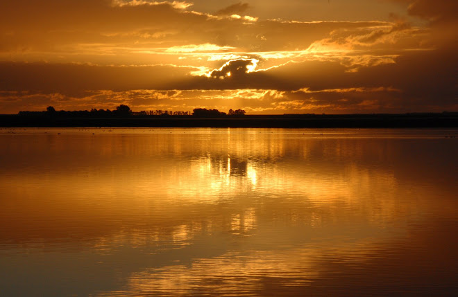 Laguna Ordoñez
