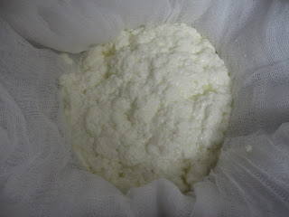 Fresh ricotta, adapted from the Bitten blog