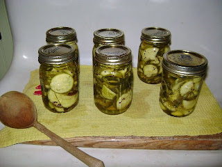 Bread and Butter Zucchini Pickles