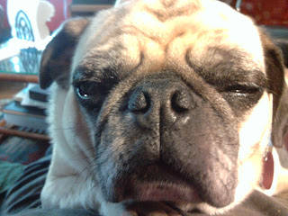 Typhoon >Grief counselors were at the scene this weekend