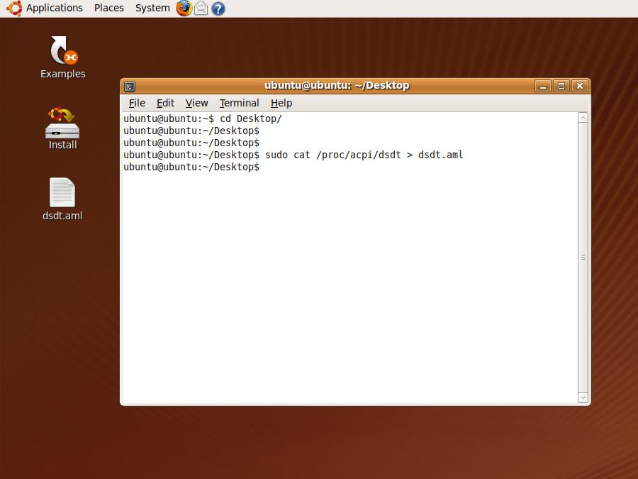 [ubuntu_getdsdt.jpg]