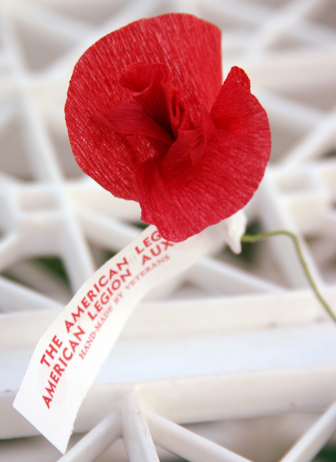 poppy veterans day quotes quotesgram poppy veterans day quotes quotesgram