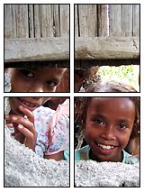 [Timor.jpeg]