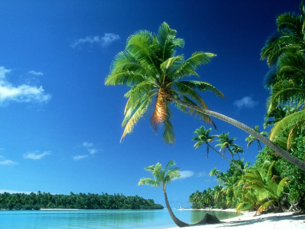 http://4.bp.blogspot.com/_o2Y9aZ2qaT8/TDBx7BO5vQI/AAAAAAAADWs/2qHJA74EGxY/s1600/tropical-beach-wallpaper.jpg