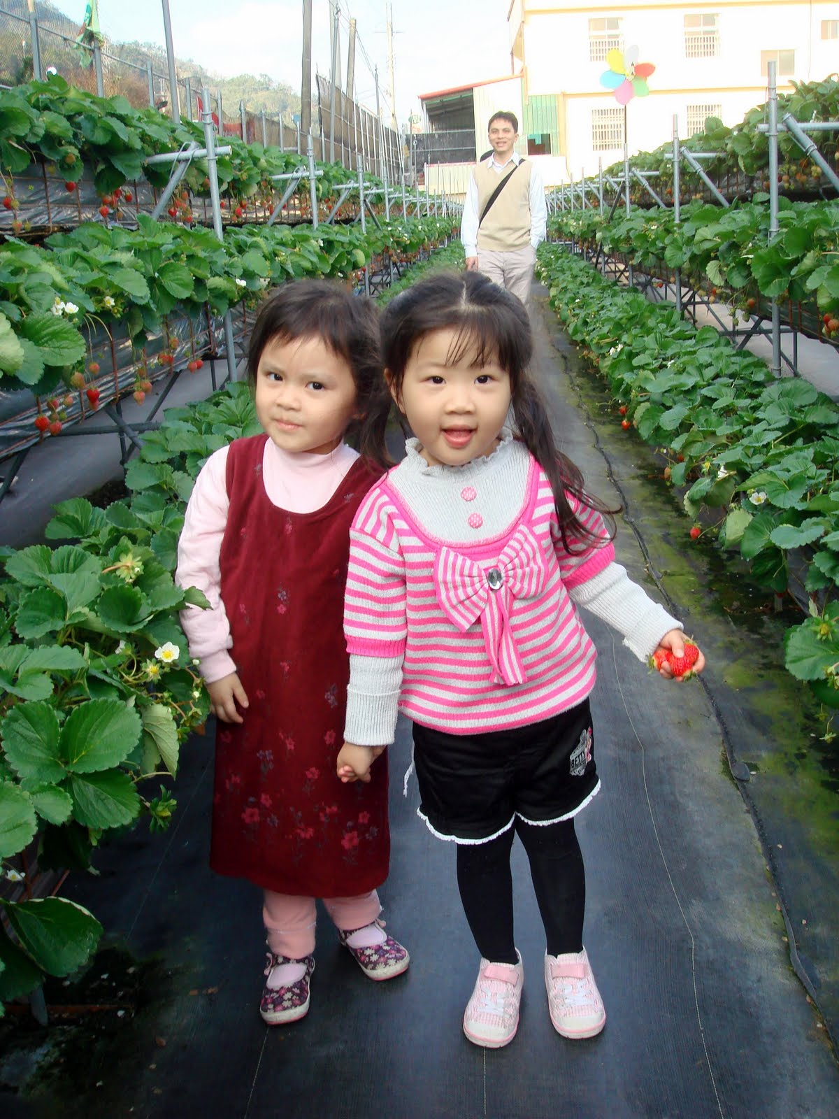 [DSC09594.jpg]