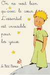 LE PETIT PRINCE