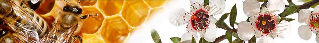 Manuka Honey Blog