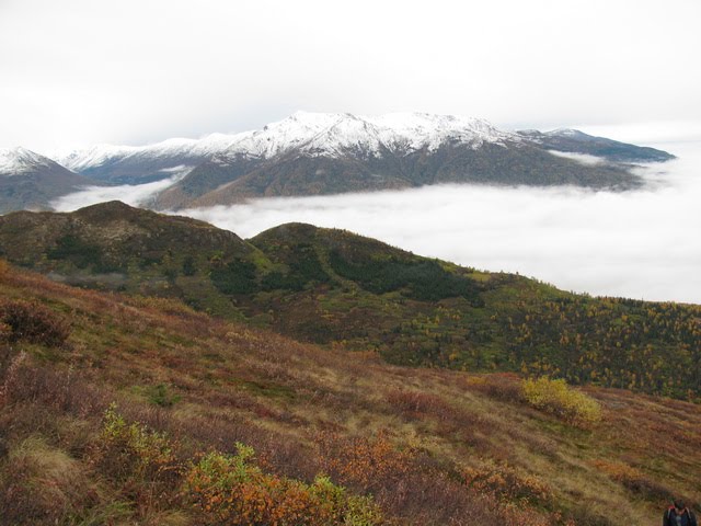 [IMG_0241.JPG]