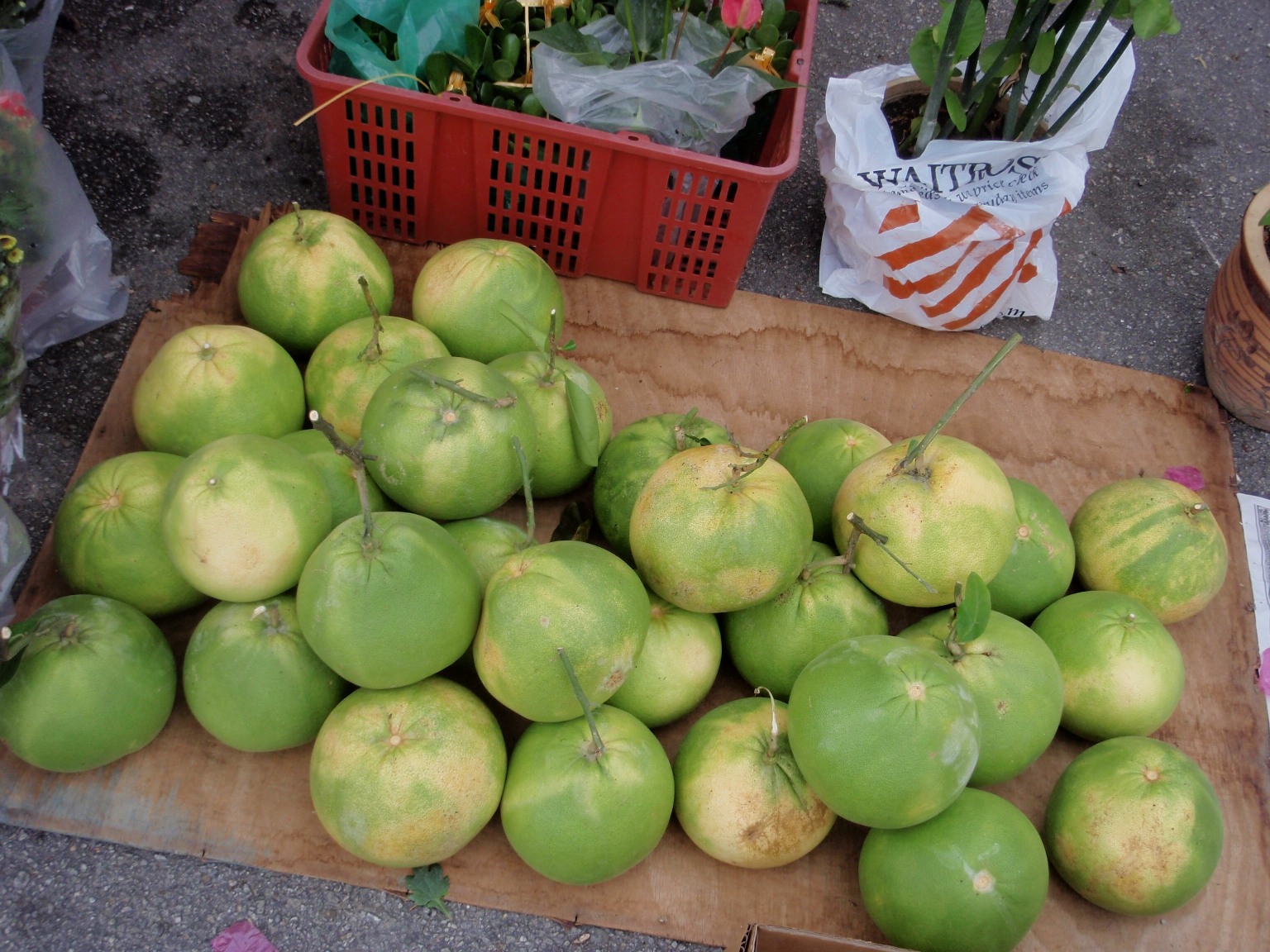 Xing Fu POMELOES DURING CHINESE NEW YEAR