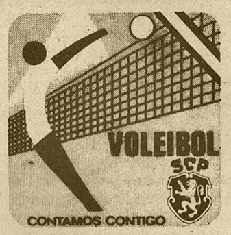 [volei.jpg]