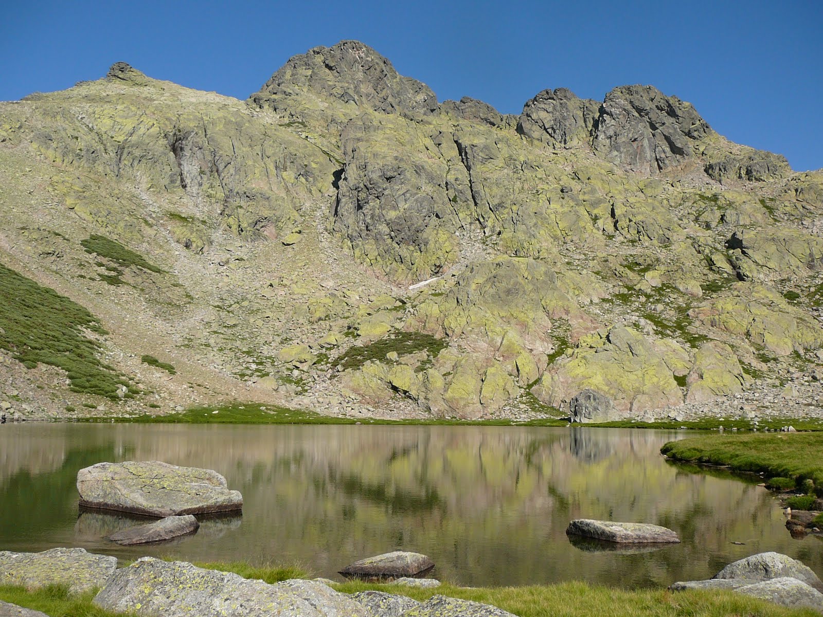 Pateando con perras LA COVACHA