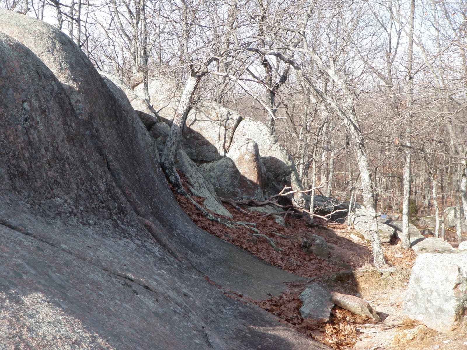 [P1020138.JPG]