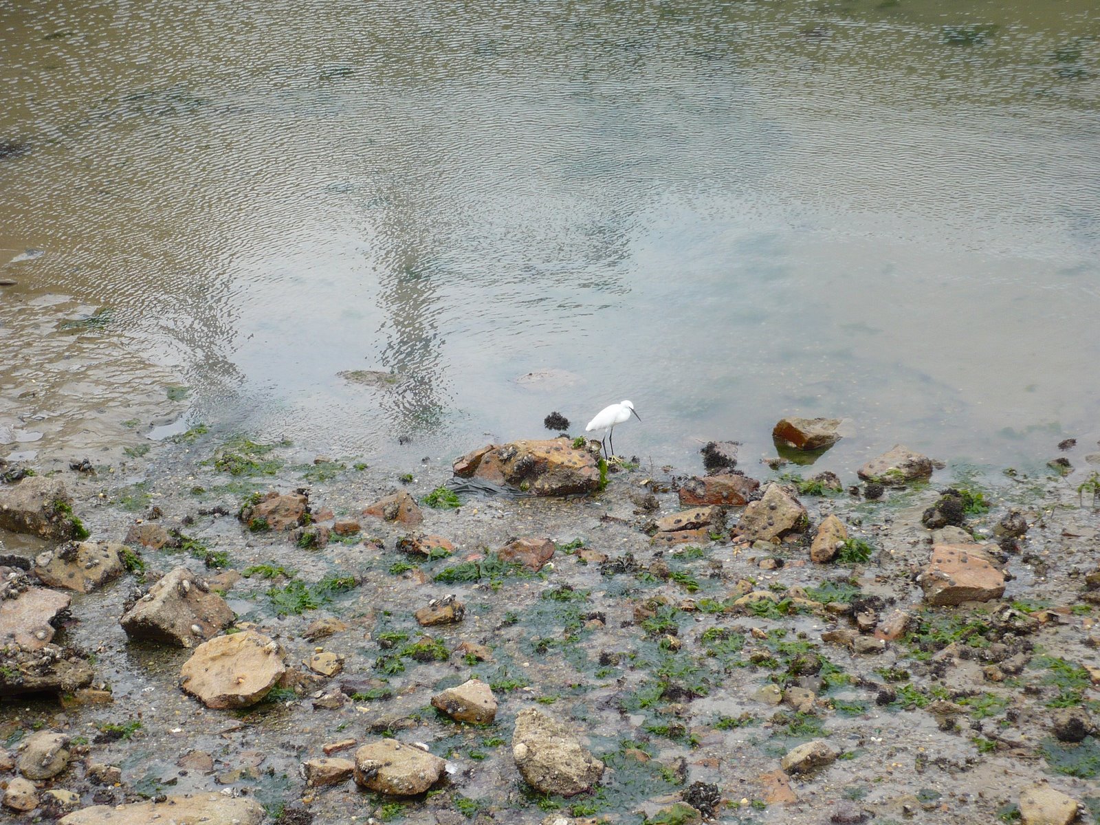 [P1010634.JPG]