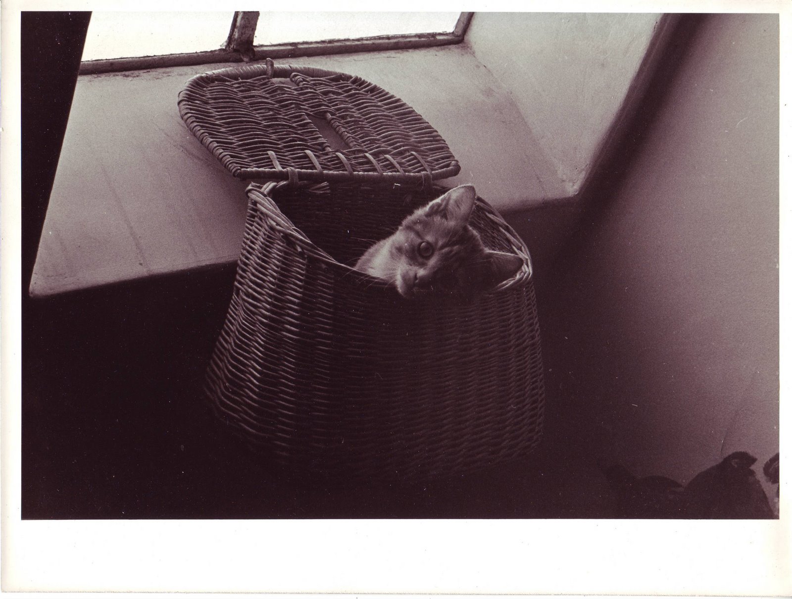 [Image0451.JPG]