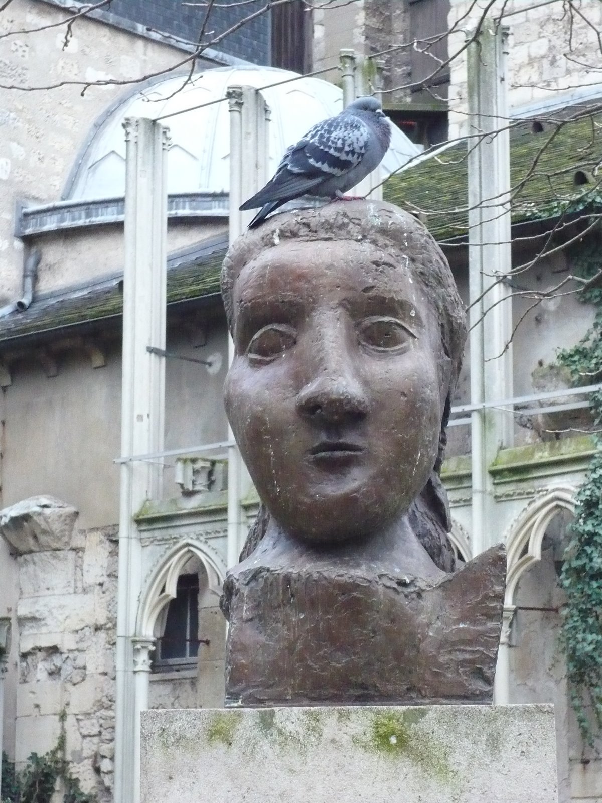 [P1030646.JPG]