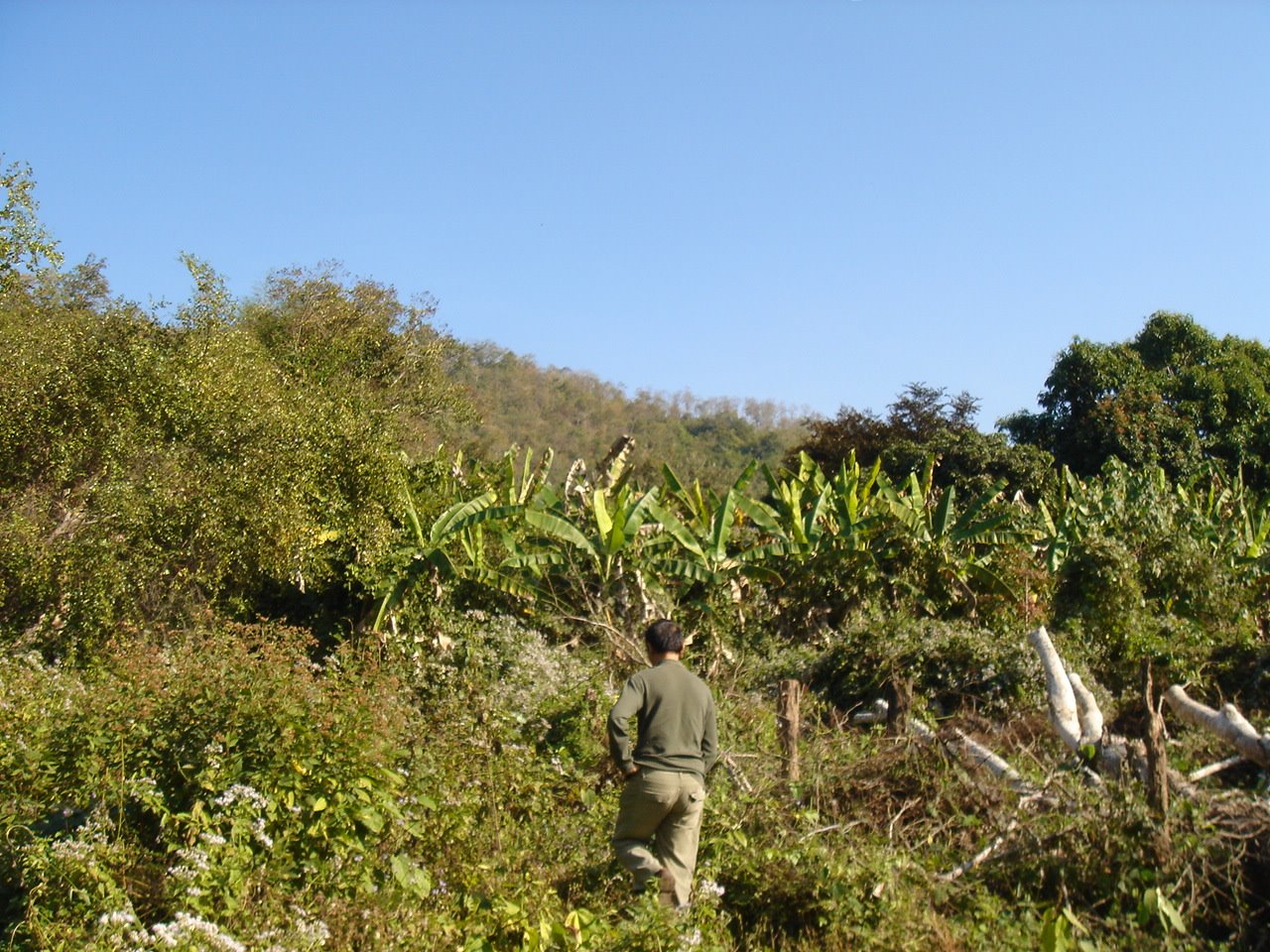 [DSC05535.JPG]