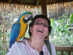 Bkue Macaw licking Debbi' face/neck