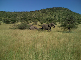 serengeti national park