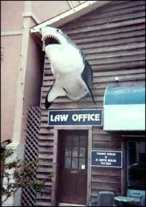 [Lawyers.jpg]
