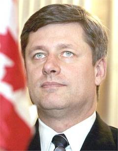 [Harper+in+the+headlights.jpg]